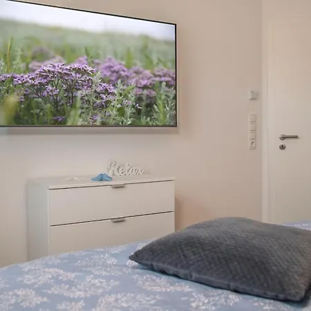 Ferienhaus 50065 Deichkajüte 1